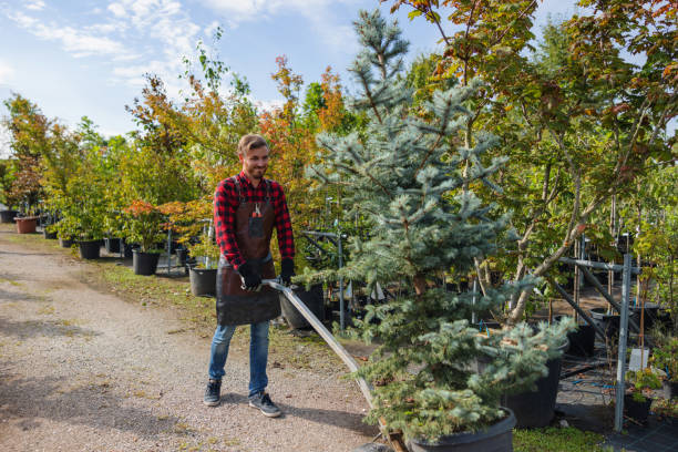 Best Lot and Land Clearing  in Victory Lakes, NJ